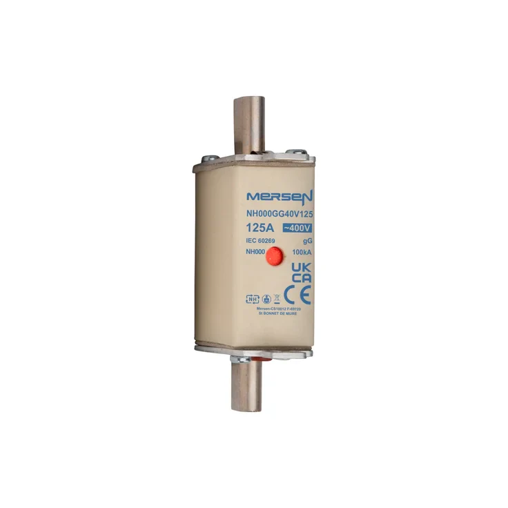 Mersen 125A Fuse - NH gG 400V size 000